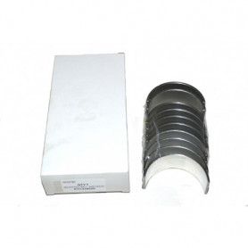 Bearing set std main