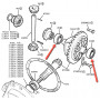 Bearing differential