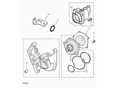 coude Freelander 1