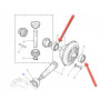 Differential bearings - bearing differential 24 spline_copie_copie