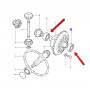 Differential bearings - bearing differential 10 spline