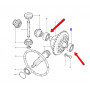 Roulement de differentiel 10 cannelures