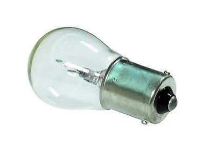 Bulb flasher