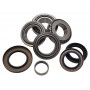 rear non locking diff overhaul kit