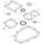 Gasket