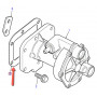 Seal vacuum pump 300 tdi engine