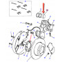 Piston for caliper rear