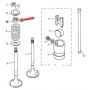 Seal valve range of tail motor 200tdi and 300 tdi