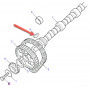 Clé-emplacement-arbre à cames