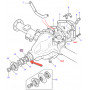 Differential bearing