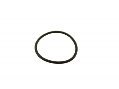 Collar - oil seal lt77