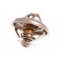 Thermostat p38 2.5 TD