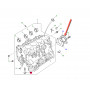 Seal-oil-rear crankshaft