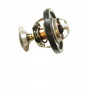 Discovery thermostat 88 °c 300tdi