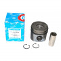 Piston et segments cote standard a partir de 2002