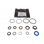 Seal kit - steering 4 bolt housing - disco1_copie