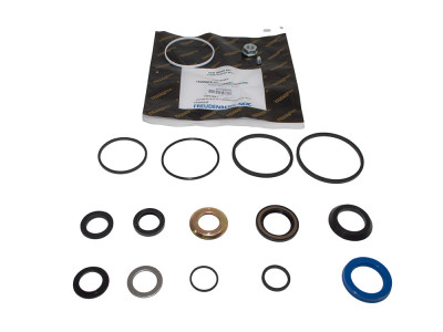 Seal kit - steering 4 bolt housing - disco1_copie