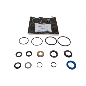 Seal kit - steering 4 bolt housing - disco1_copie