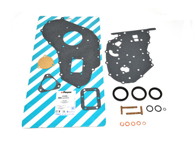 Engine gasket kit bas 300tdi