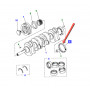 Crankshaft oil seal