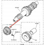 gear wheel