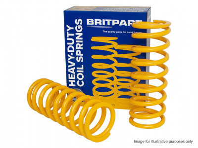 Heavy duty rear springs