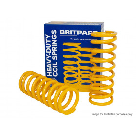 Coil spring - pair_copie