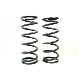 Coil rear spring (pair) +2