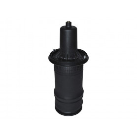 Ressort pneumatique avant p38 v8 4.6l