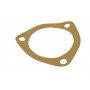 Thermostat gasket