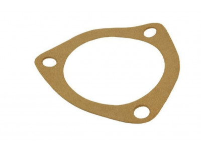 Thermostat gasket