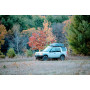 Dark grey interior rear side panels with window cut outs Defender 90