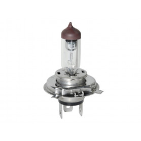 Halogen bulb optical front defender