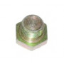 Bouchon d'obturation porte filtre a gazole 2.25 Diesel