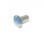 rivet