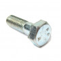 bolt