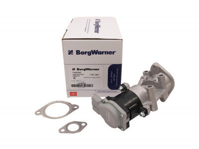 VANNE EGR DROITE BORG WARNER