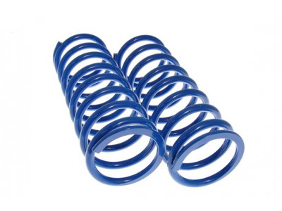 Paire de Ressorts arrière Discovery 1 – Huteur Standard