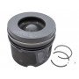Piston & Ring Set