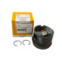 Piston & Ring Set