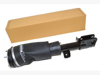 Amortisseur avant gauche