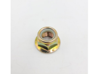 Nut front - before coming to bridge - p38