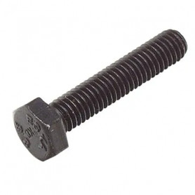 bolt