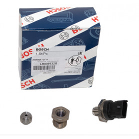 Regulator - fuel pressure