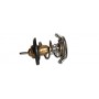 Thermostat assy