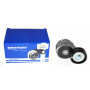 tensioner assy Freelander 1
