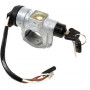 Steering lock