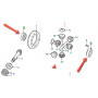 Differential bearings - bearing differential 24 spline_copie