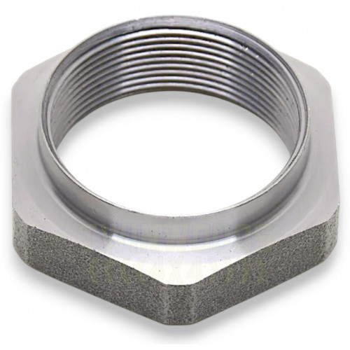 Nut defender of stub axle from the 1999