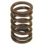 Valve spring